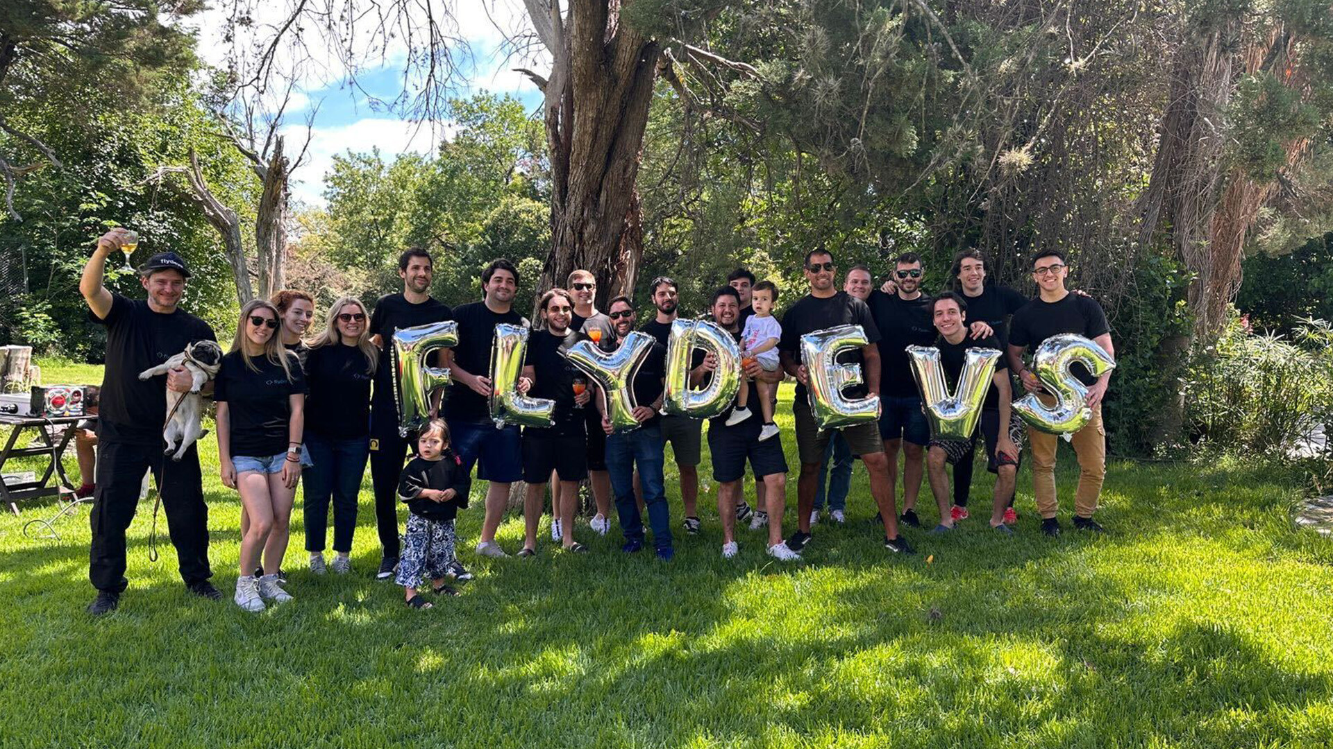 FlyDevs