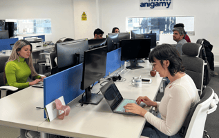 anigamy-perfil