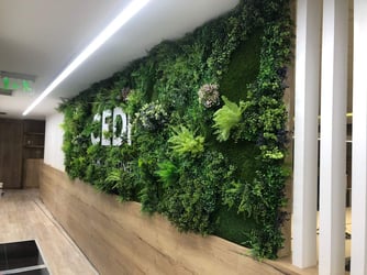 CEDI Tech Consulting
