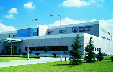 BoeringerIngelheim BoeringerIngelheim